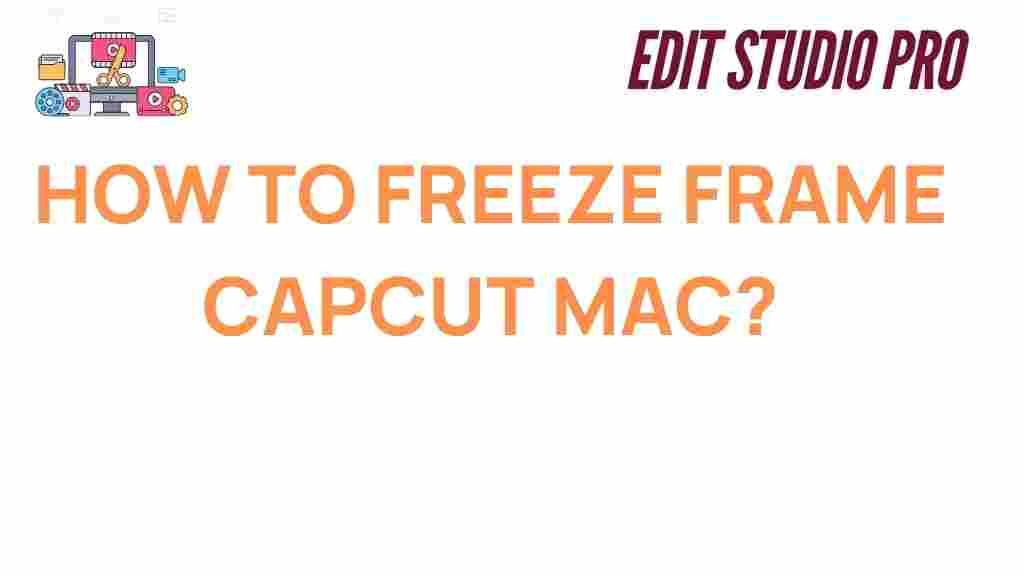 capcut-freeze-frame-mac