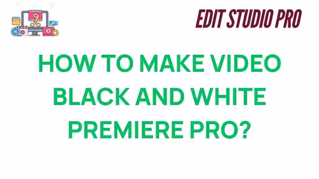 black-and-white-video-premiere-pro